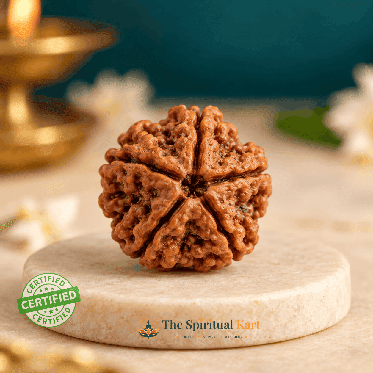 5 Mukhi Rudraksha – Original Nepali Rudraksha